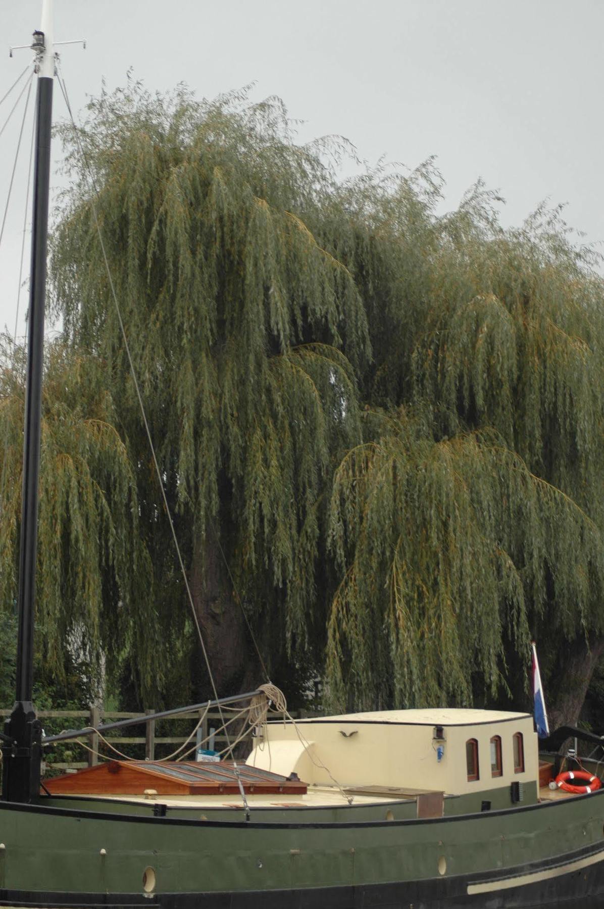 Hotel Barge Waternimf 伊利 外观 照片